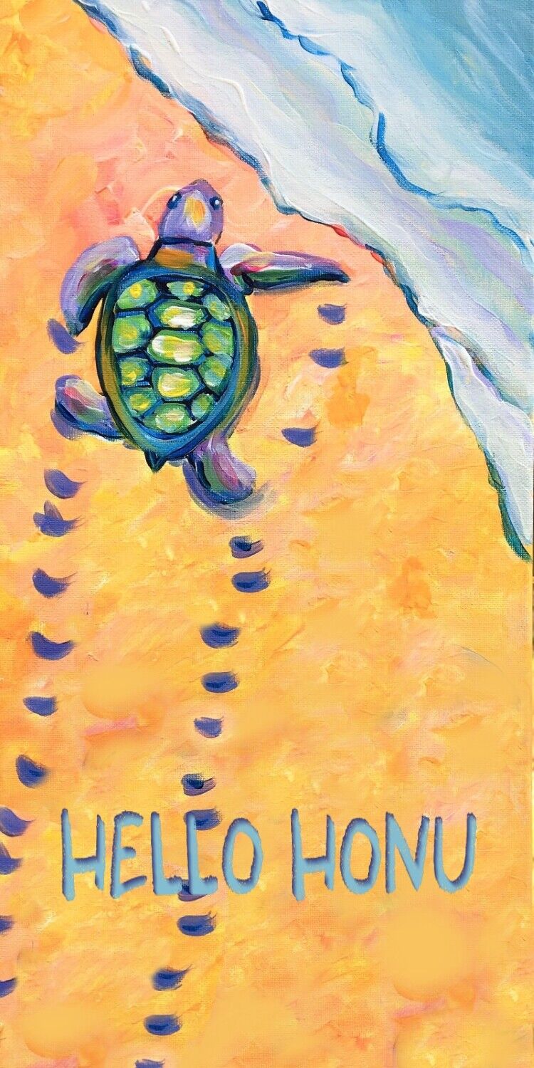 hello_honu_06